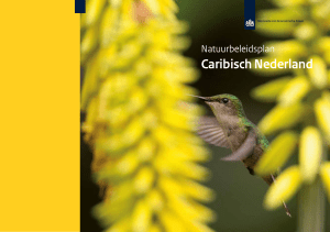 Natuurbeleidsplan Caribisch Nederland 2013