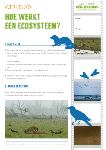 hoe werkt een ecosysteem?