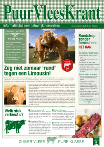 Zeg niet zomaar `rund` tegen een Limousin!