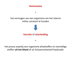 Voorbeelden van maatschappelijke onderwerpen voor je werkstuk