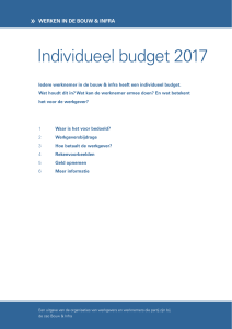 Individueel budget 2017