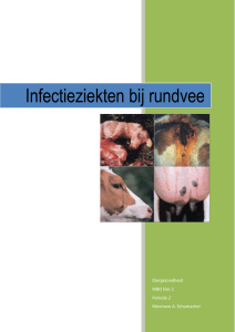 Infectieziekten bij rundvee