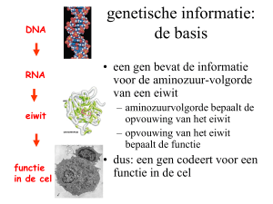 genetische informatie: de basis
