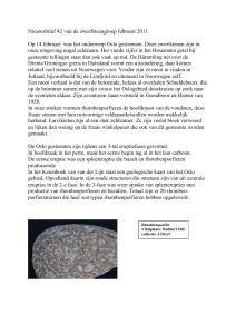 42 Oslo Gesteenten - Geologische Vereniging IJsselland