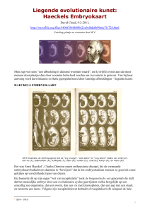 Liegende evolutionaire kunst: Haeckels Embryokaart