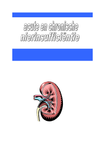 Anatomie en werking van de nier - FC