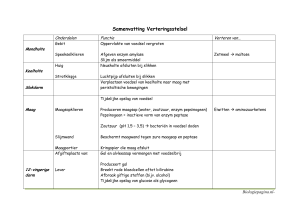 Samenvatting Verteringsstelsel