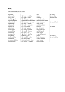 [holte] de holte (vrouwelijk) = la cavité de bijholte sinus de sinus de