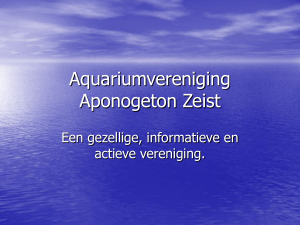 Aquariumvereniging Aponogeton Zeist