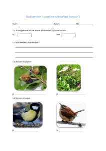 Biodiversiteit `s voorkennis/beseftest leerjaar 3