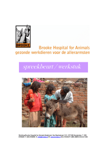 Wat is Brooke Hospital for Animals