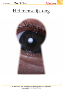 Het menselijke oog