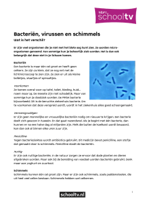 Bacteriën, virussen en schimmels