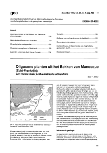 Oligocene planten uit het Bekken van Manosque