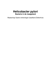 Helicobacter pylori - MDL-centrum | IJsselland ziekenhuis