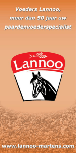Lannoo-Martens