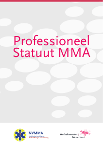 Professioneel statuut MMA (2013)