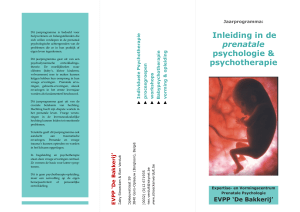 Inleiding in de prenatale psychologie