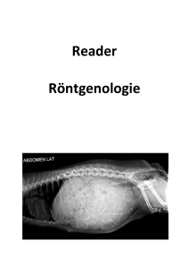 Röntgenopname van abdomen en thorax