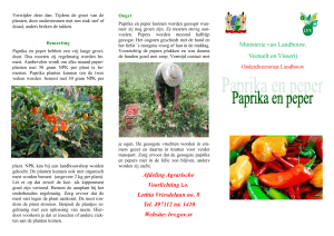 Paprika en peper planten