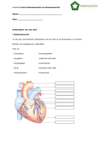 Practicum bekijken van bloedcellen