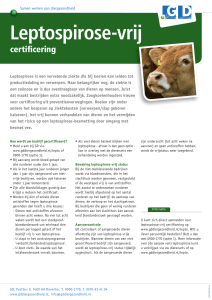 Flyer GD Leptospirose-vrij Certificering vleesveehouderij
