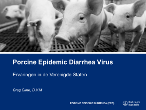 Porcine Epidemic Diarrhea Virus