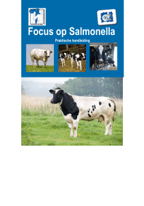 Focus op Salmonella