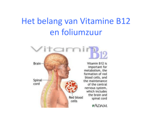 Het belang van Vitamine B12 en foliumzuur