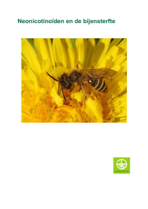 Neonicotenoïden en de bijensterfte