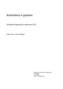 Burkholderia in gladiolen