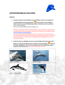 antwoordenblad dolfijnen