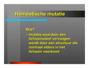 Homeotische mutatie