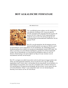 bot alkalische fosfatase