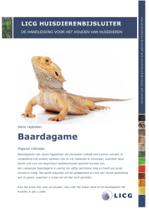 Baardagame - ABC voor Dieren