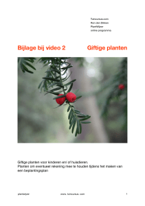 plantwijzer bijlage bij video 2 giftige planten