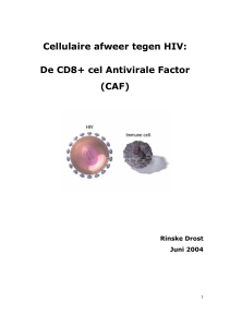 Cellulaire afweer tegen HIV: De CD8+ cel