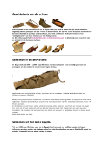 Geschiedenis van de schoen