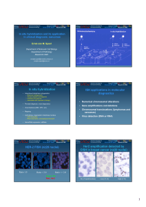 In situ hybridization ISH applications in molecular diagnostics HER