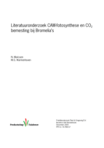 Literatuuronderzoek CAM-fotosynthese en CO2 bemesting bij
