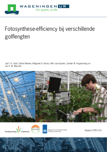 Fotosynthese-efficiency bij verschillende golflengten