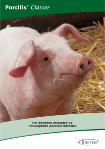 Glässer(Page 1) - MSD Animal Health