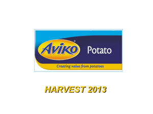 harvest 2013 - Aviko Potato