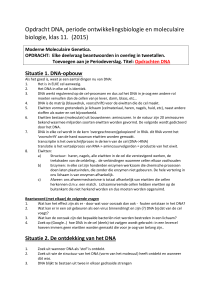 Opdracht DNA - rshbiologie