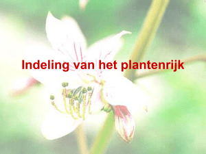 Indeling van het plantenrijk