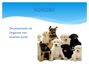 Spullen voor de hond