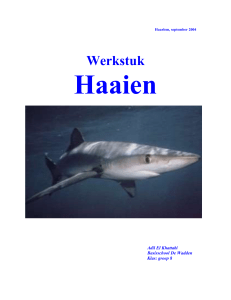 Haaien