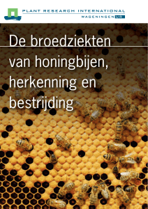 De broedziekten van honingbijen, herkenning en bestrijding