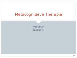 Therapieblad Geheugen - Metacognitievetraining