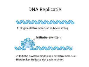 DNA Replicatie